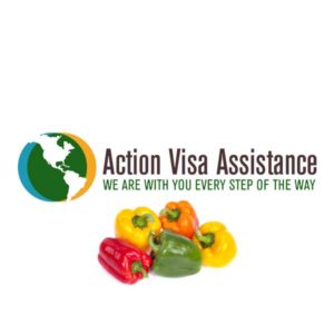 action visa title