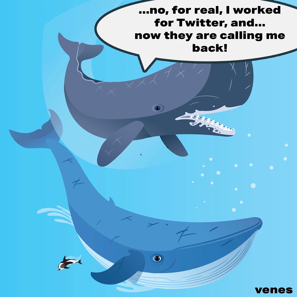 Twitter whale: ..no, for real, I worked for Twitter, and... now they are calling me back!